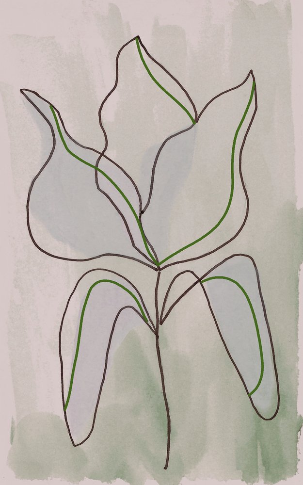 Minimalistyczny szkic botaniczny autorstwa Lori Ann Folz