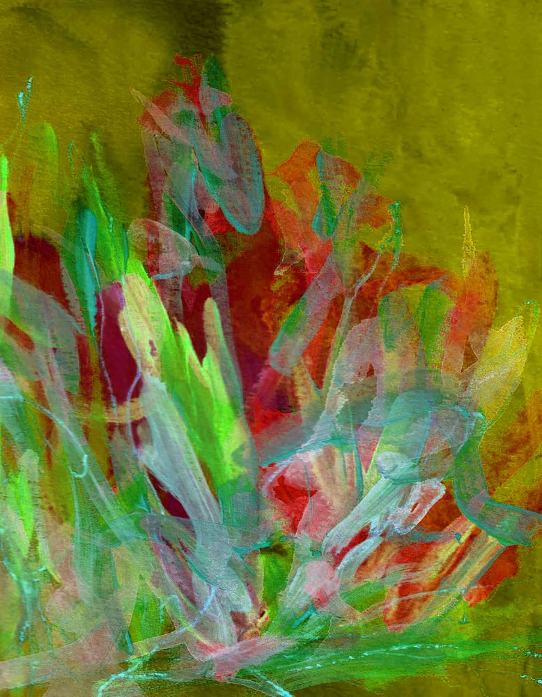  autorstwa Lori Ann Folz