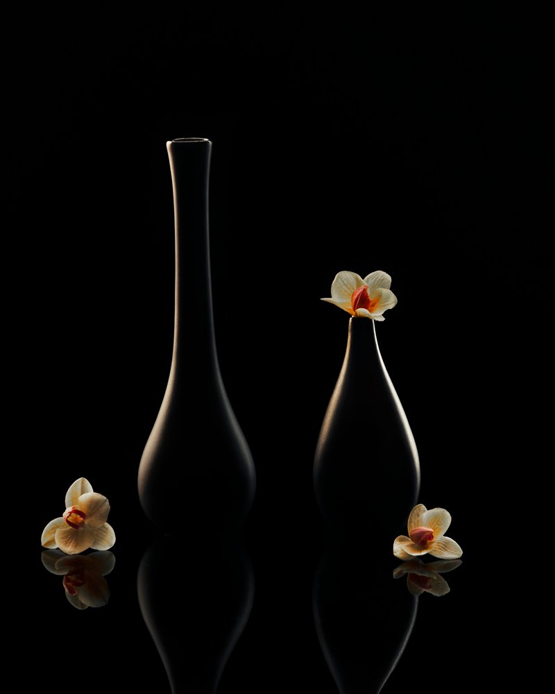 Eleganckie odbicia orchidei autorstwa Louie Luo