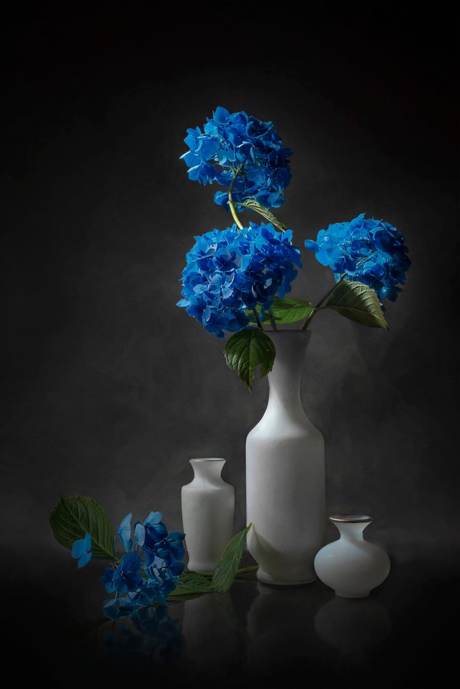 Eleganckie niebieskie hortensje autorstwa Lydia Jacobs