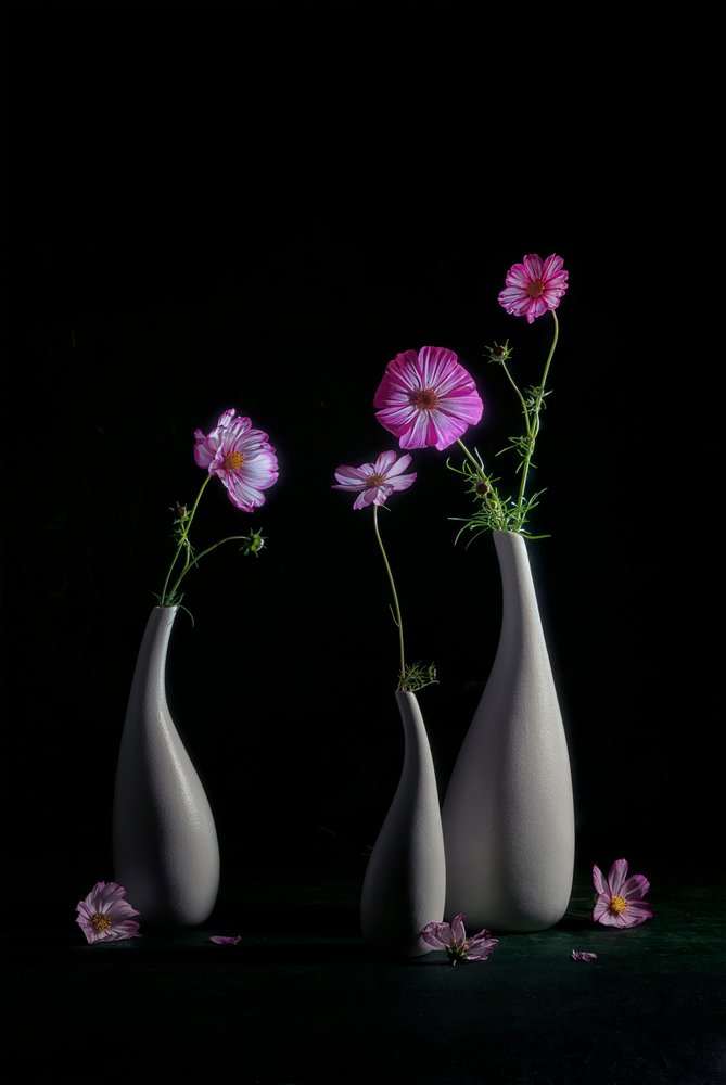 Elegancka martwa natura z kosmosem autorstwa Lydia Jacobs