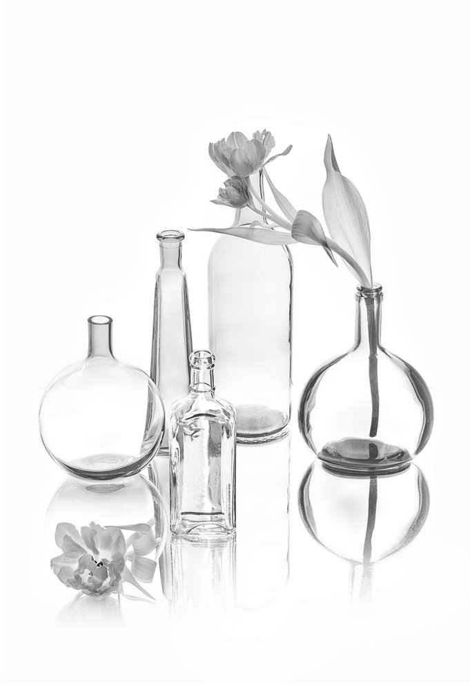 Eleganckie szklane tulipany autorstwa Lydia Jacobs