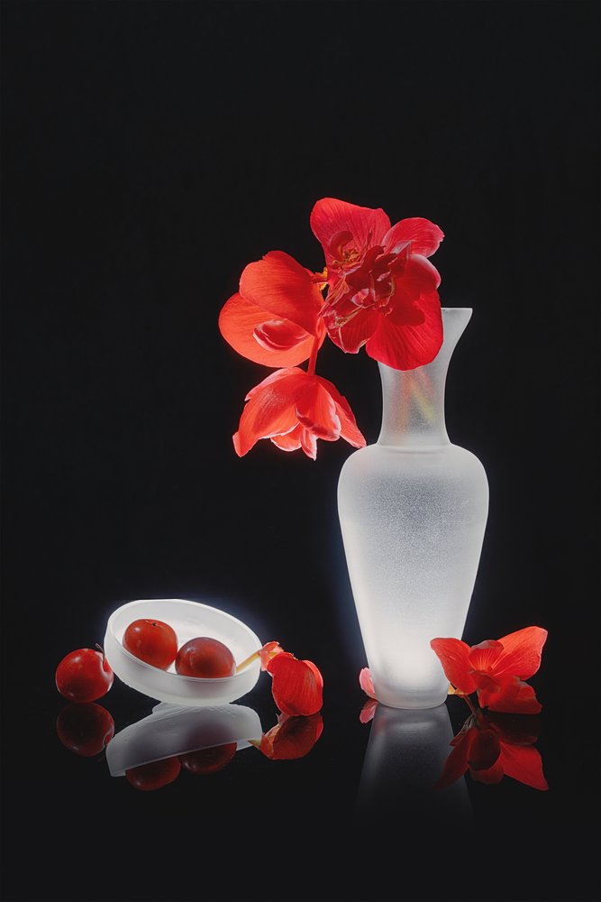 Elegancka czerwona martwa natura autorstwa Lydia Jacobs