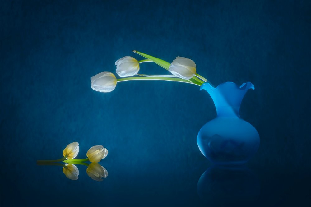 Eleganckie białe tulipany autorstwa Lydia Jacobs