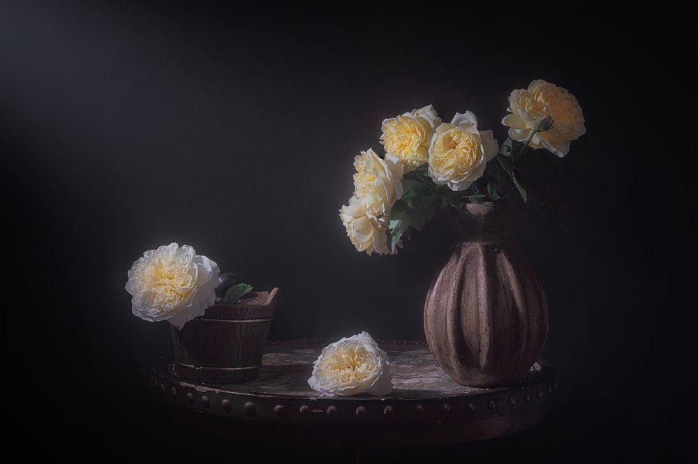 Eleganckie żółte róże autorstwa Lydia Jacobs