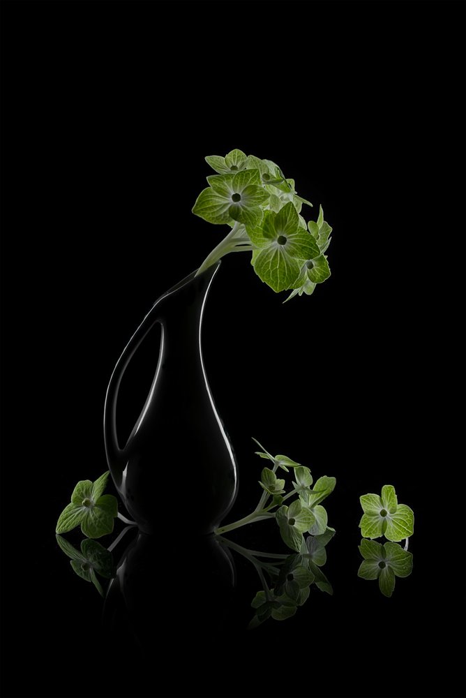 Refleksja „Zielone kwiaty” autorstwa Lydia Jacobs