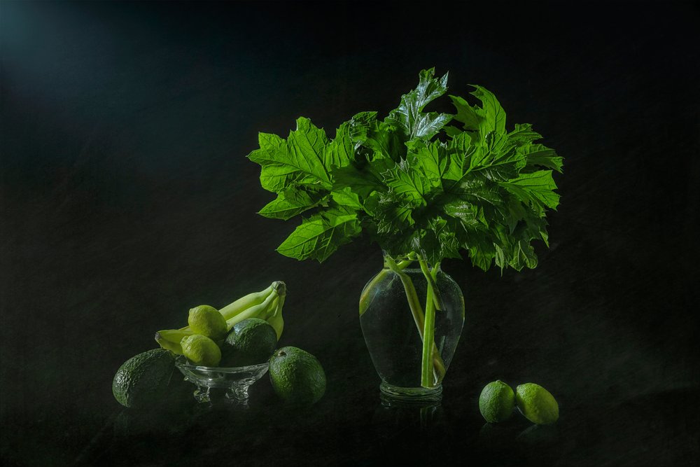 Bujna botaniczna martwa natura autorstwa Lydia Jacobs