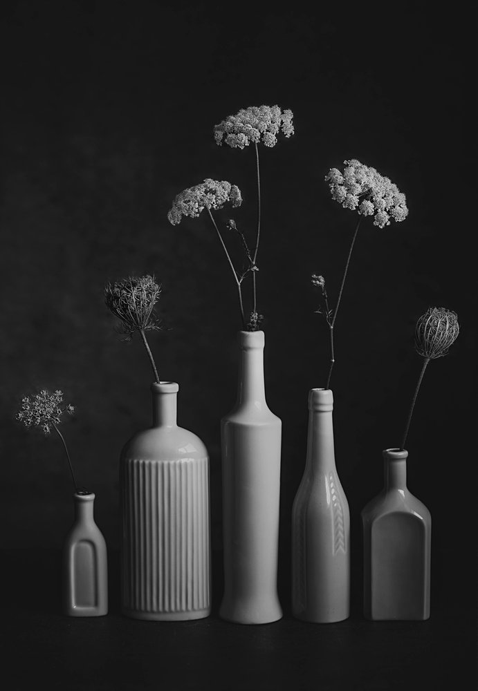 Monochromatyczna martwa natura z motywami roślinnymi autorstwa Lydia Jacobs