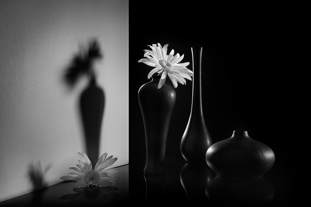 Monochromatyczny wzór z dwoma motywami kwiatowymi autorstwa Lydia Jacobs