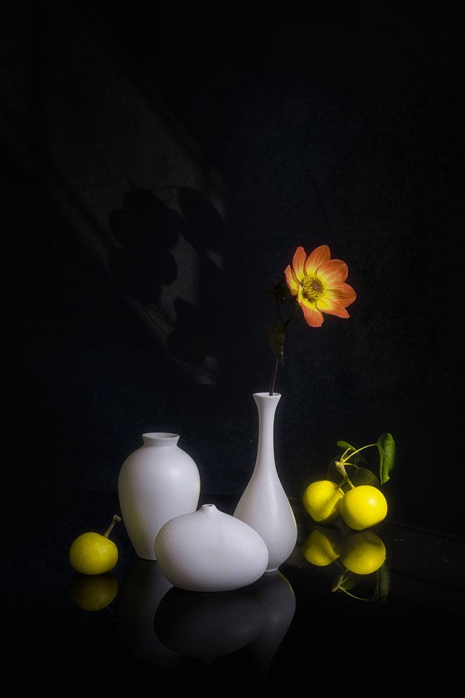 Kwiaty i owoce w nastrojowej stylistyce autorstwa Lydia Jacobs