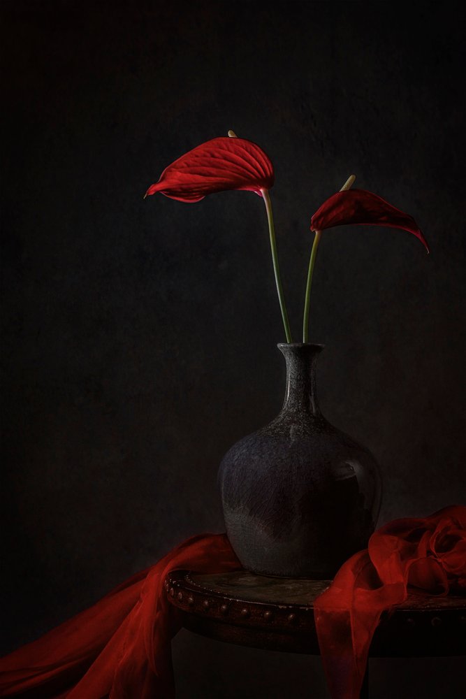 Anthurium w kolorze Moody Red autorstwa Lydia Jacobs