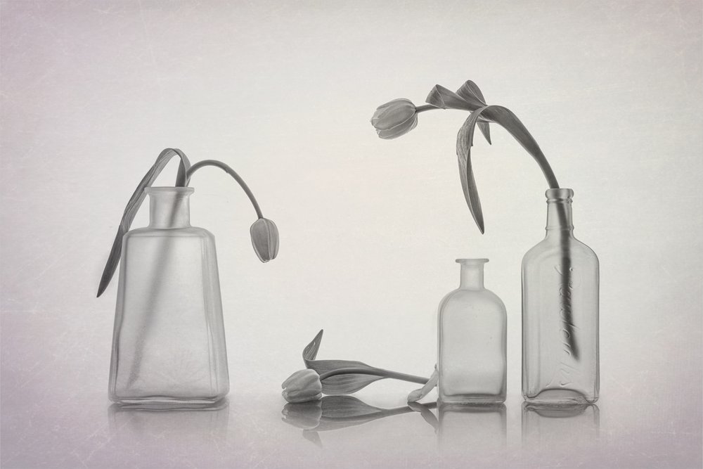 Cicha martwa natura z tulipanami autorstwa Lydia Jacobs