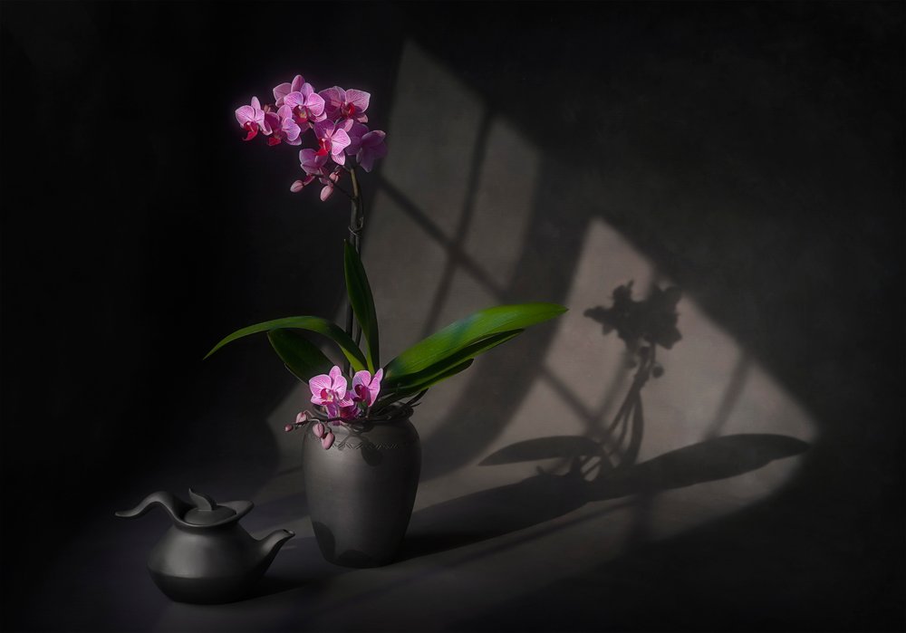 Elegancja orchidei w cieniu autorstwa Lydia Jacobs