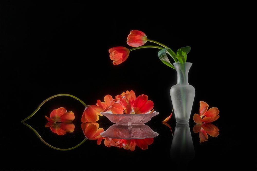 Milionowe tulipany – martwa natura autorstwa Lydia Jacobs