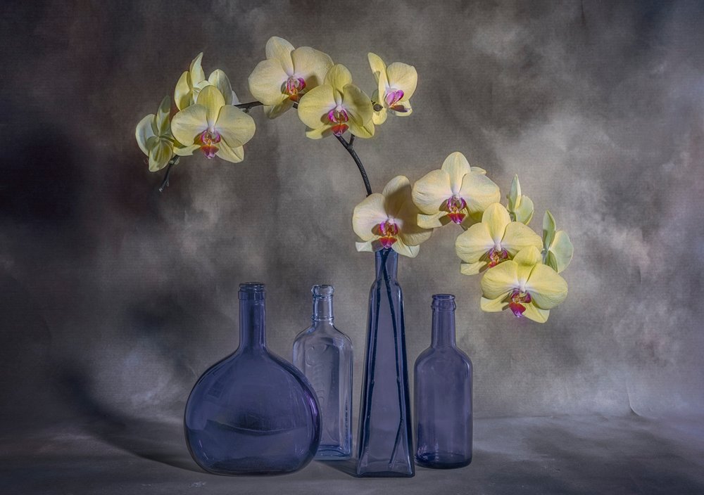Żółte orchidee w niebieskim szkle autorstwa Lydia Jacobs