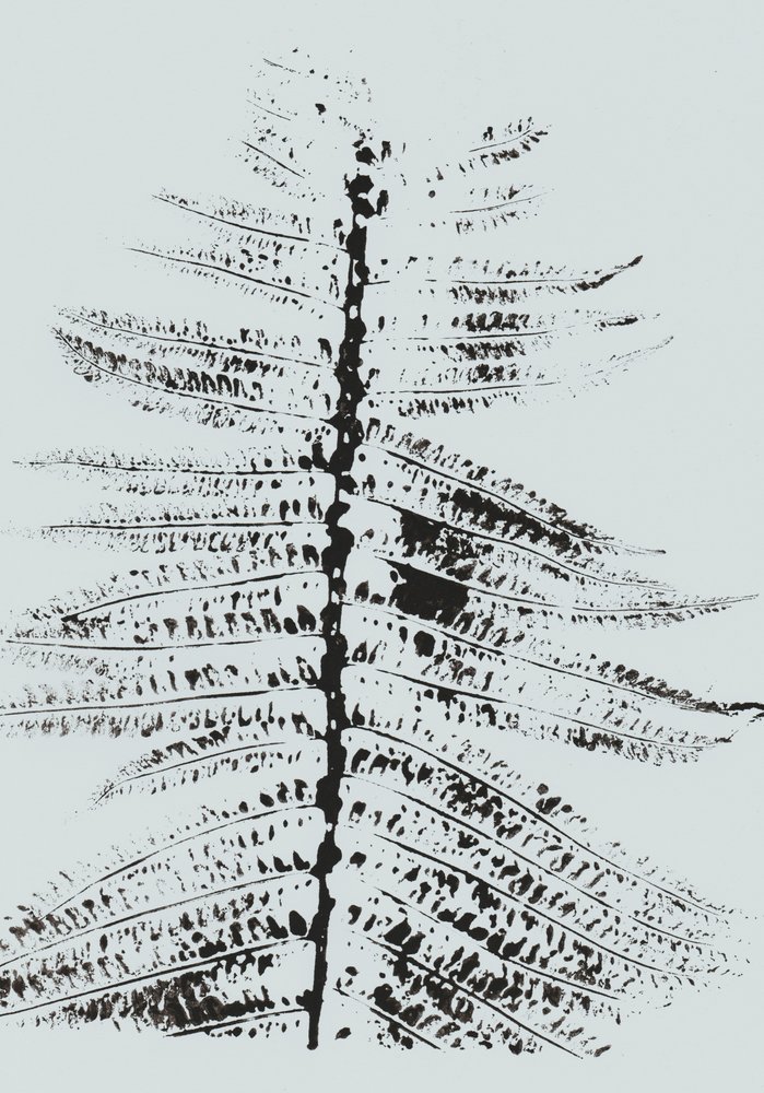Black Ink Fern autorstwa Maira Ribena