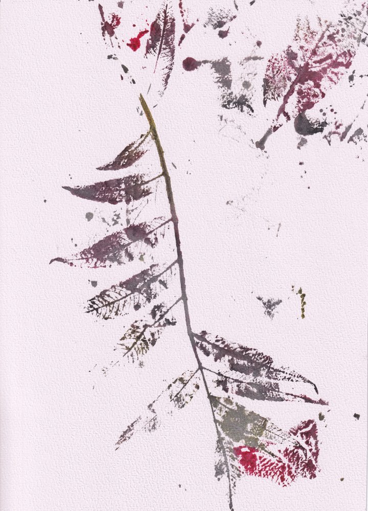 Wrażenia z Dark Leaf autorstwa Maira Ribena