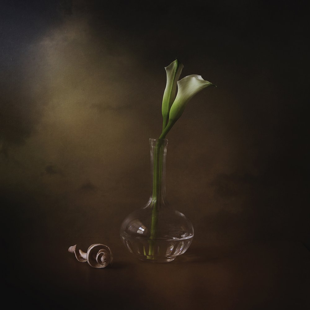 Eleganckie lilie calla autorstwa Margaret Halaby