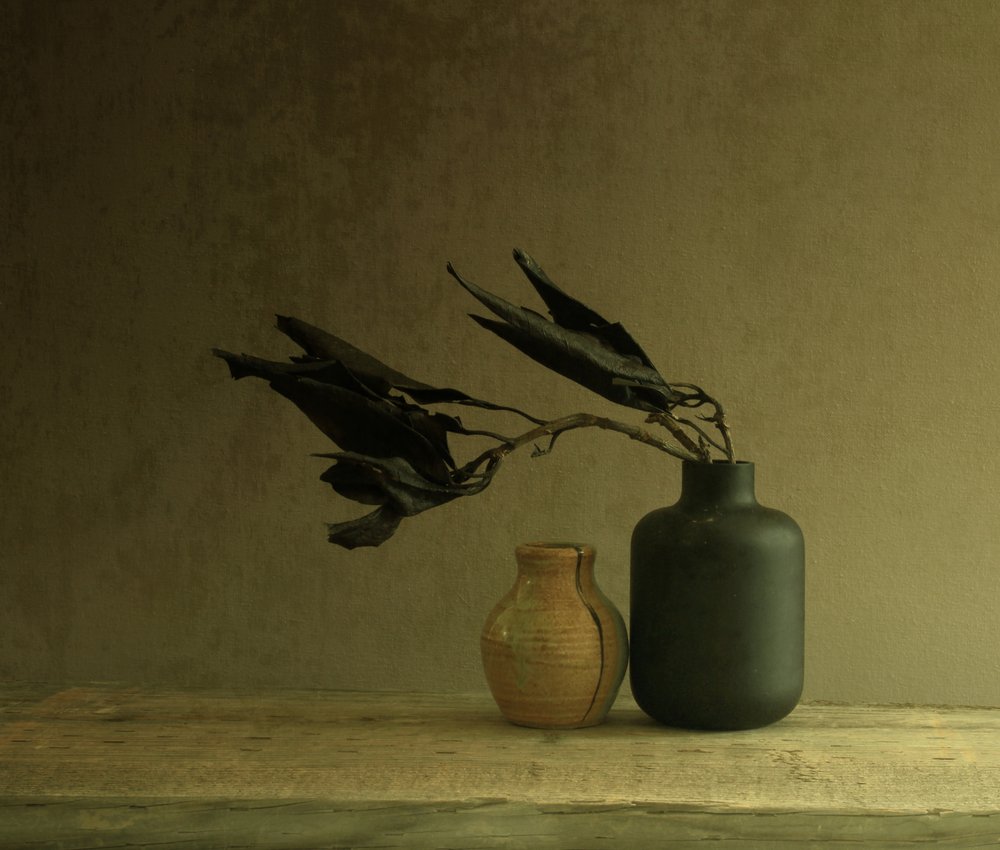 Minimalistyczna martwa natura z liśćmi autorstwa Margaret Halaby