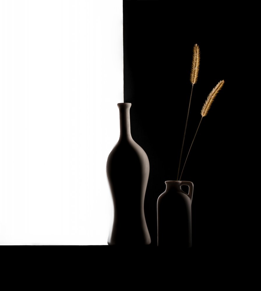 Wazony „Dark Light” – trawa autorstwa Margareth Perfoncio