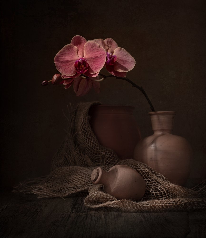 Martwa natura z ciemną orchideą autorstwa Margareth Perfoncio