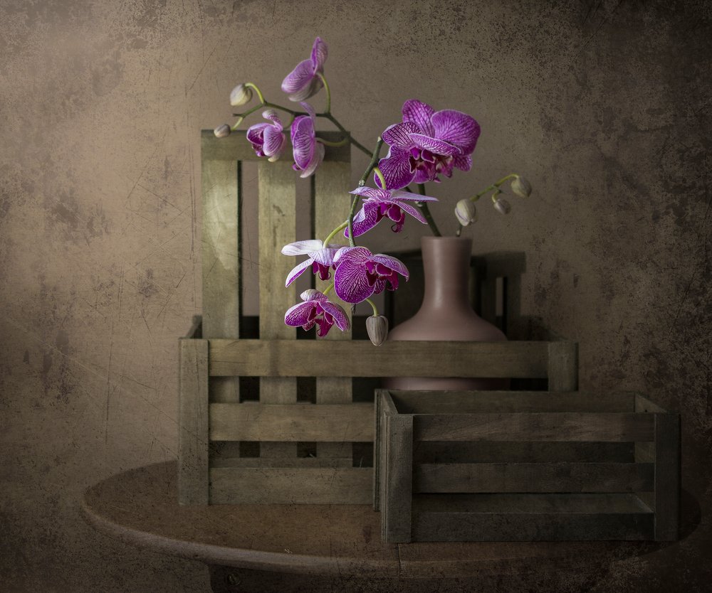  autorstwa Margareth Perfoncio