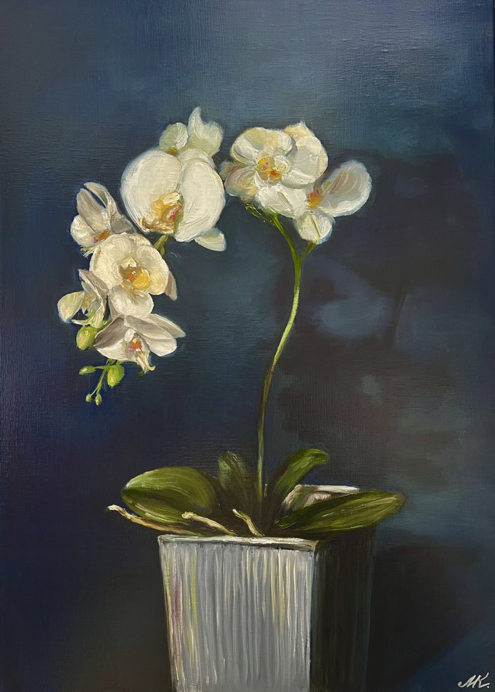 Elegancka orchidea w doniczce autorstwa Marina Kozyr