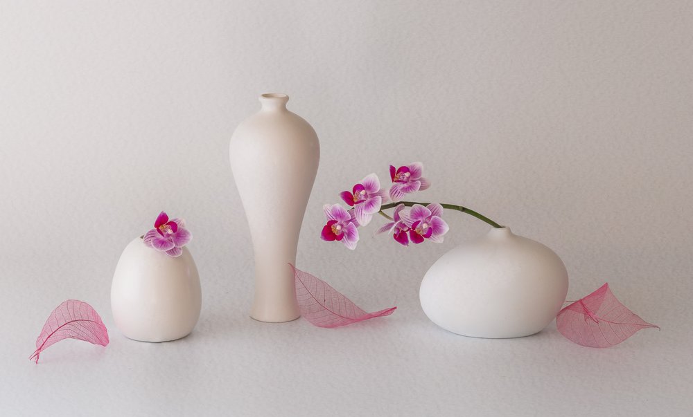 Martwa natura z różowymi orchideami autorstwa May G