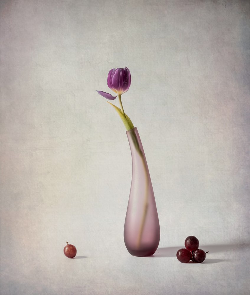 Martwa natura z fioletowymi tulipanami autorstwa May G