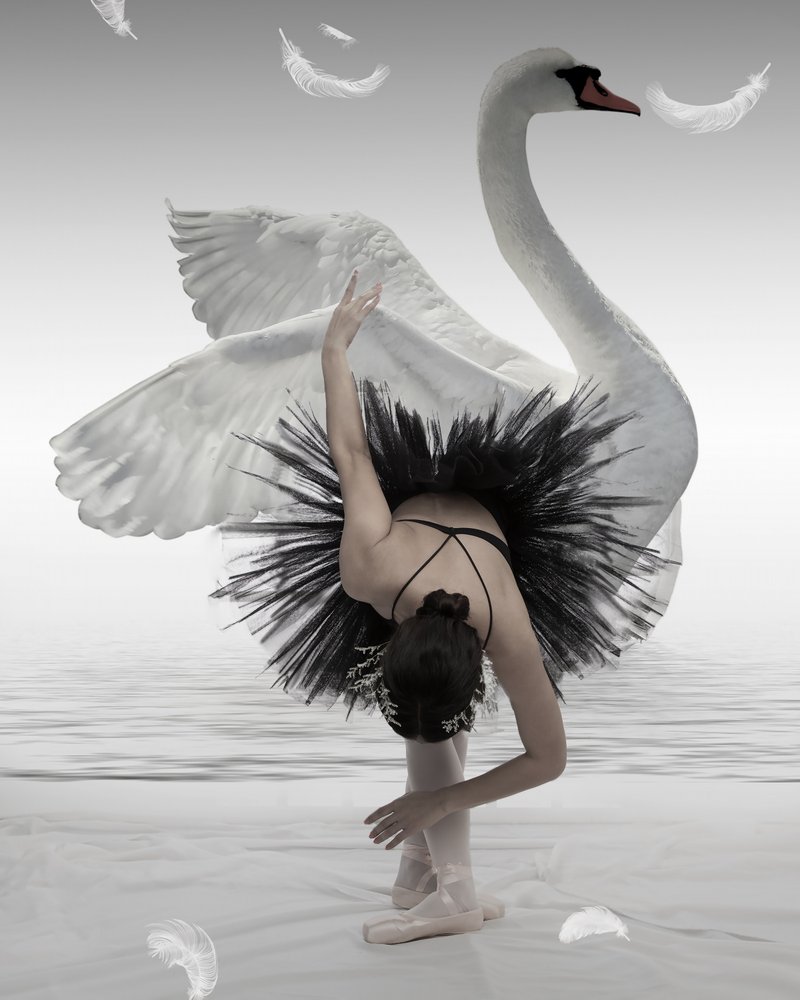 Balerina „Czarny łabędź” autorstwa Mieke