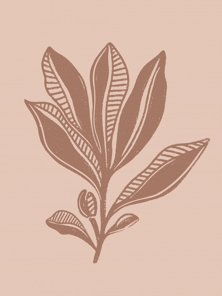 Naturalny rysunek botaniczny autorstwa Nikita Jariwala