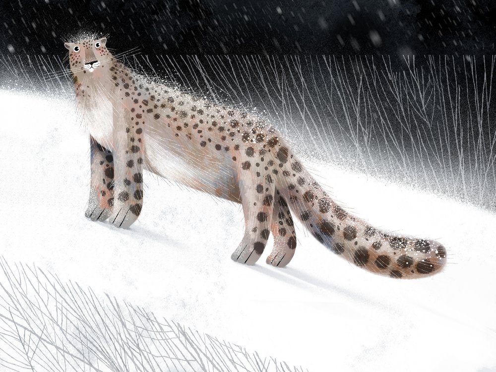 Zimowa noc w Snow Leopard autorstwa Olga Skomorokhova