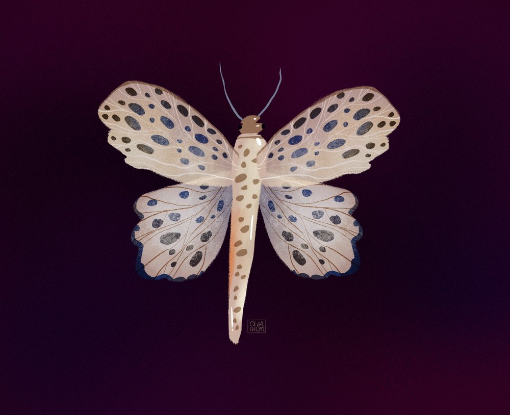  autorstwa Olga Skomorokhova
