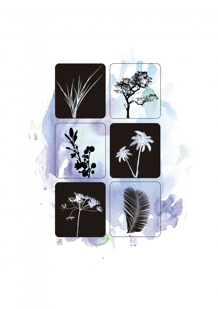 Botaniczne sylwetki w akwareli autorstwa Osvaldo Russo