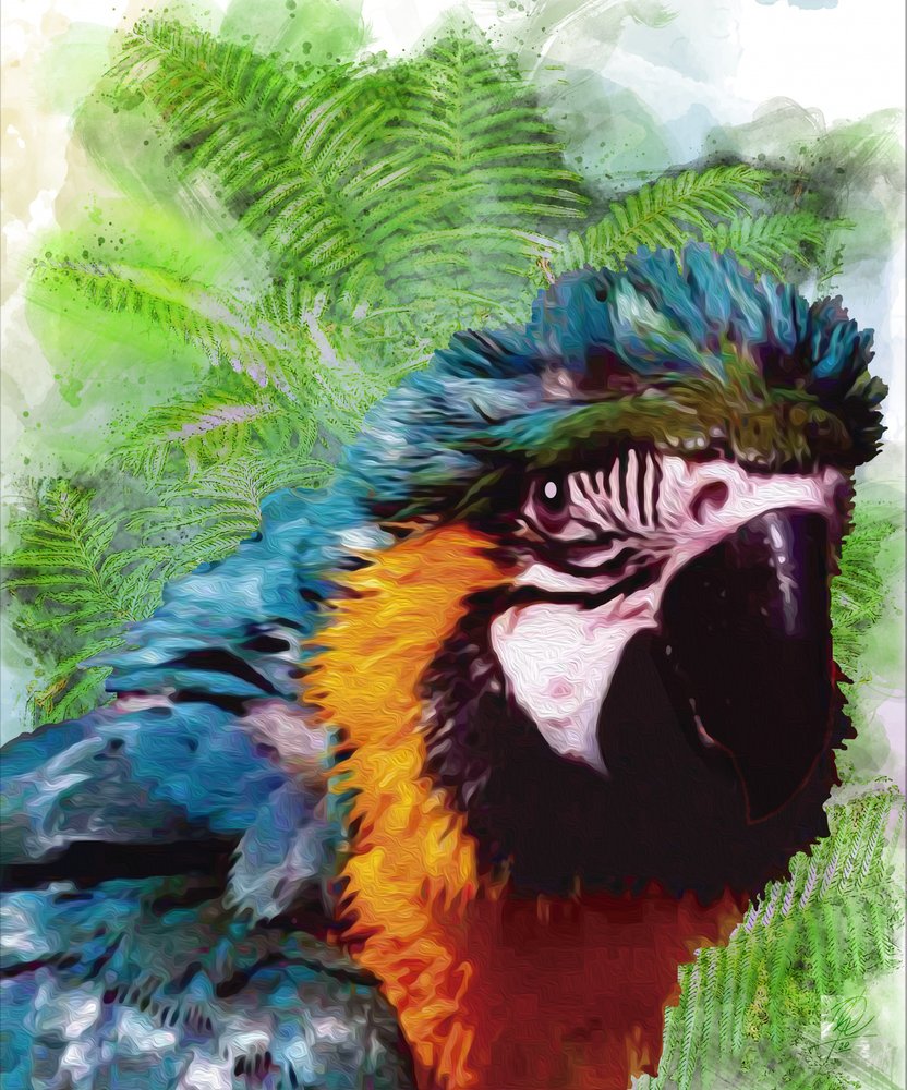  autorstwa Osvaldo Russo
