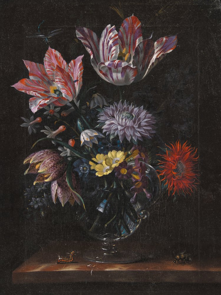 Autor nieznany, Jacob Marrel autorstwa Pictufy