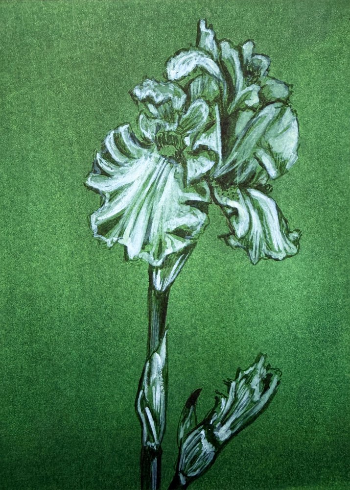 Elegancki zielony irys autorstwa Renee Machan Cottagecore Artist