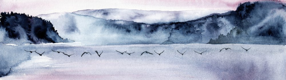 Lot ptaków z Misty Mountain autorstwa RodMacIver
