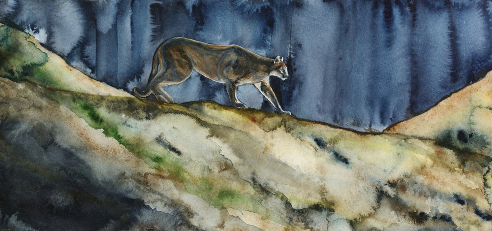 Nocne polowanie pumy autorstwa RodMacIver