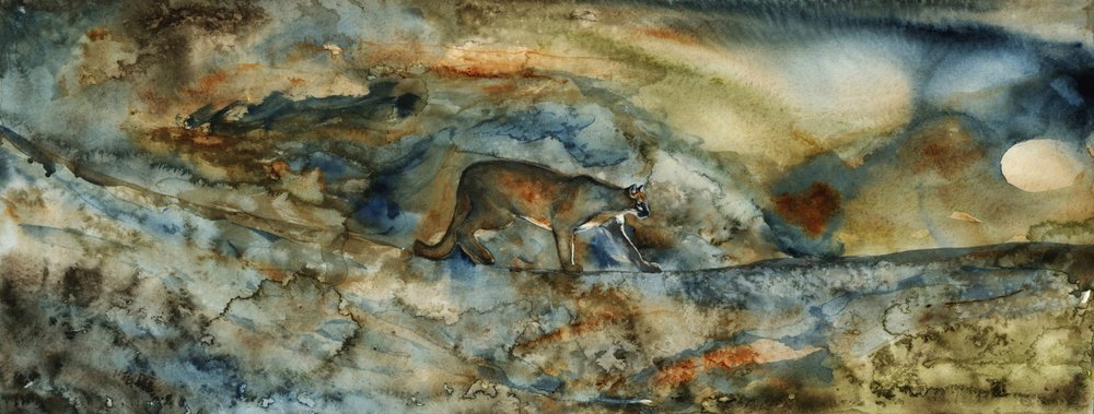 Przejście Mountain Lion autorstwa RodMacIver