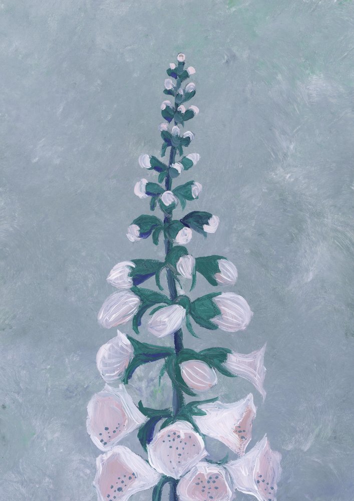 Kwiat białej naparstnicy autorstwa Rosana Laiz Blursbyai