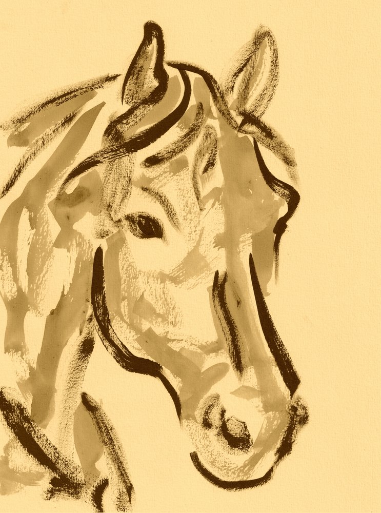 Ekspresyjny portret konia autorstwa Santhosh ch