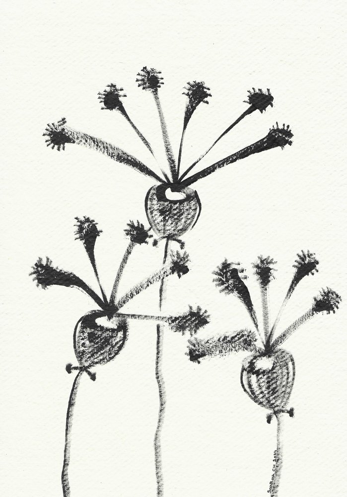Minimalistyczny rysunek botaniczny autorstwa Santhosh ch