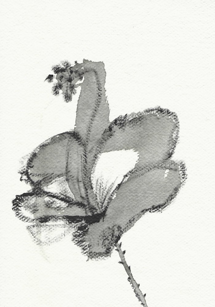 Monochromatyczne studium kwiatowe autorstwa Santhosh ch