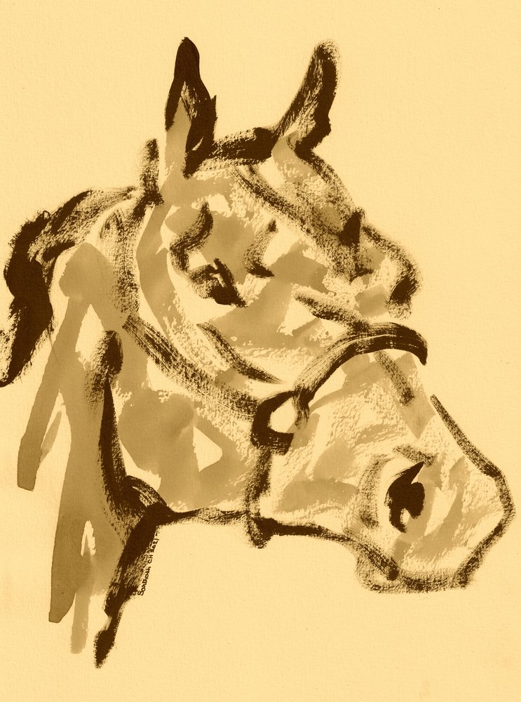 Portret konia w sepii autorstwa Santhosh ch