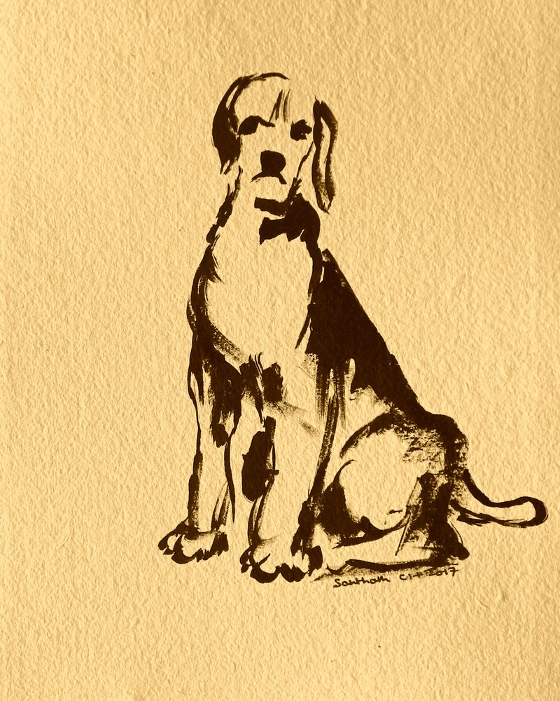 Szkic siedzącego beagle
