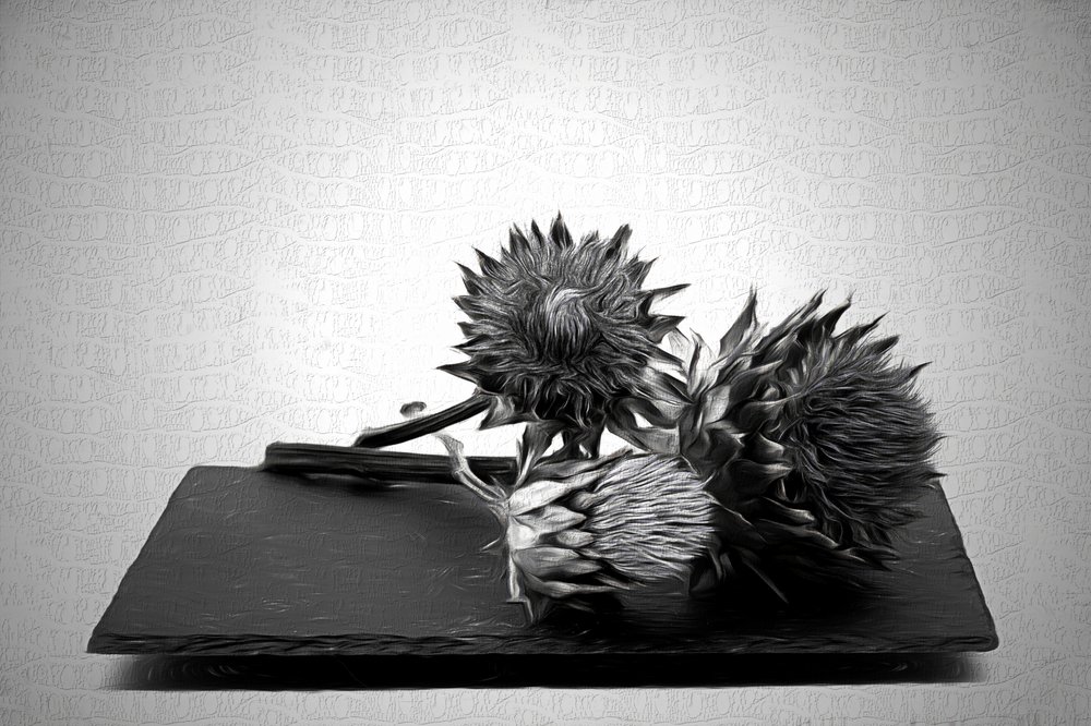 Monochromatyczna martwa natura z karczochami autorstwa Saskia Dingemans