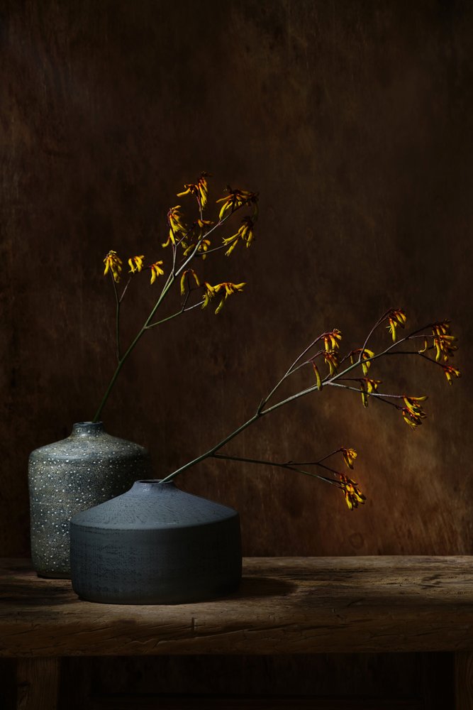 Wazony botaniczne Moody autorstwa Saskia Dingemans