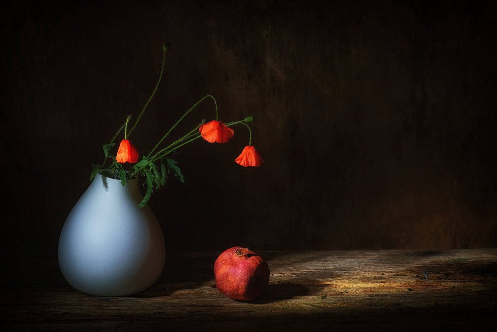 Melancholijne maki i granat autorstwa Saskia Dingemans