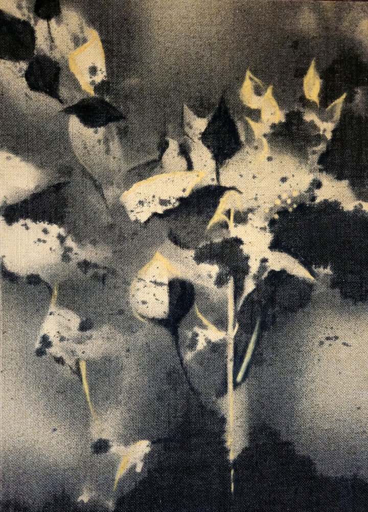 Ciemne formy botaniczne autorstwa Stefano Mazzolini
